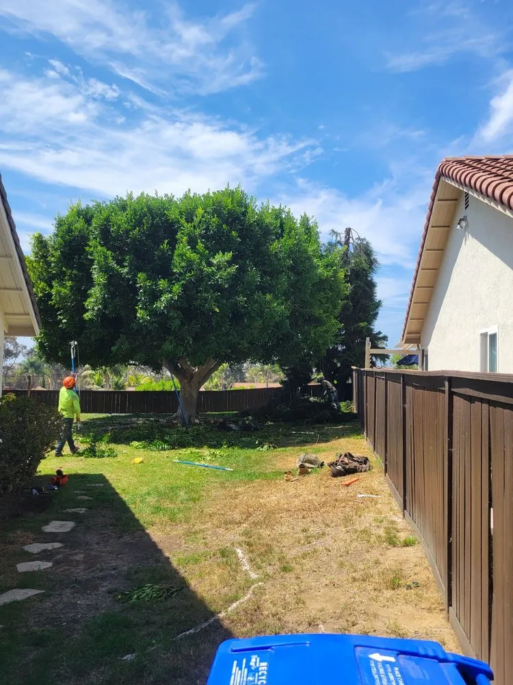 Local yard maintenance experts serving Encinitas, CA - Lucas Landscaping & Tree Services