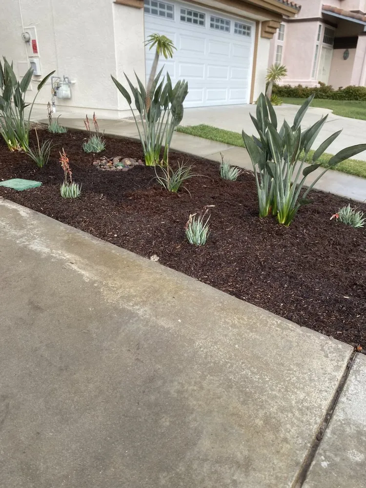 Reliable outdoor landscaping for homes across Encinitas, CA - Lucas Landscaping & Tree Services