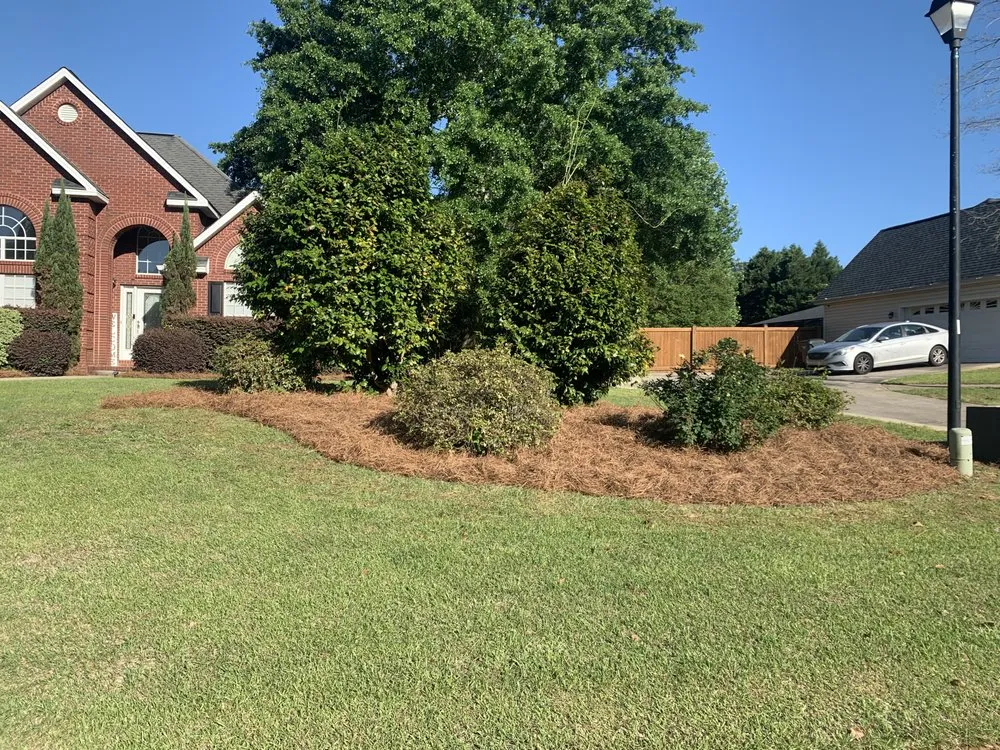 Trusted landscaping services near you in Bonaire, GA by Lucas Landscaping