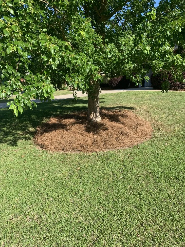 Custom lawn care service for homes in Bonaire, GA by Lucas Landscaping