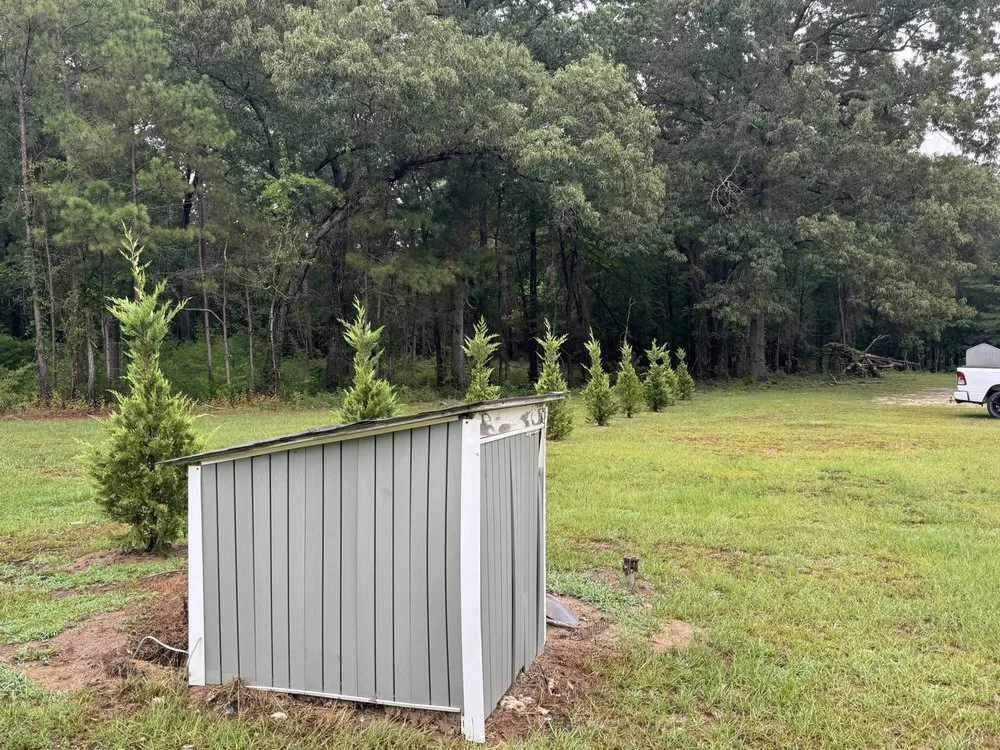 Affordable yard maintenance in Bonaire, GA by Lucas Landscaping