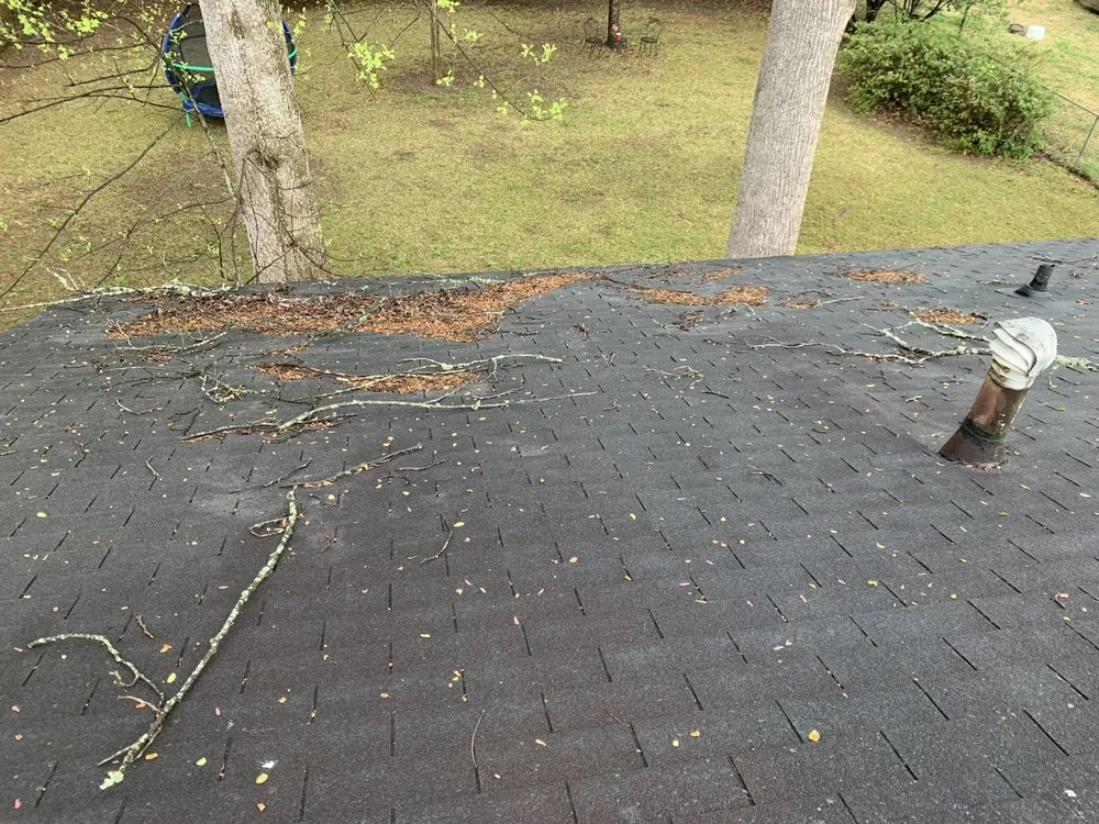 Affordable landscape installation experts serving Bonaire, GA - Lucas Landscaping