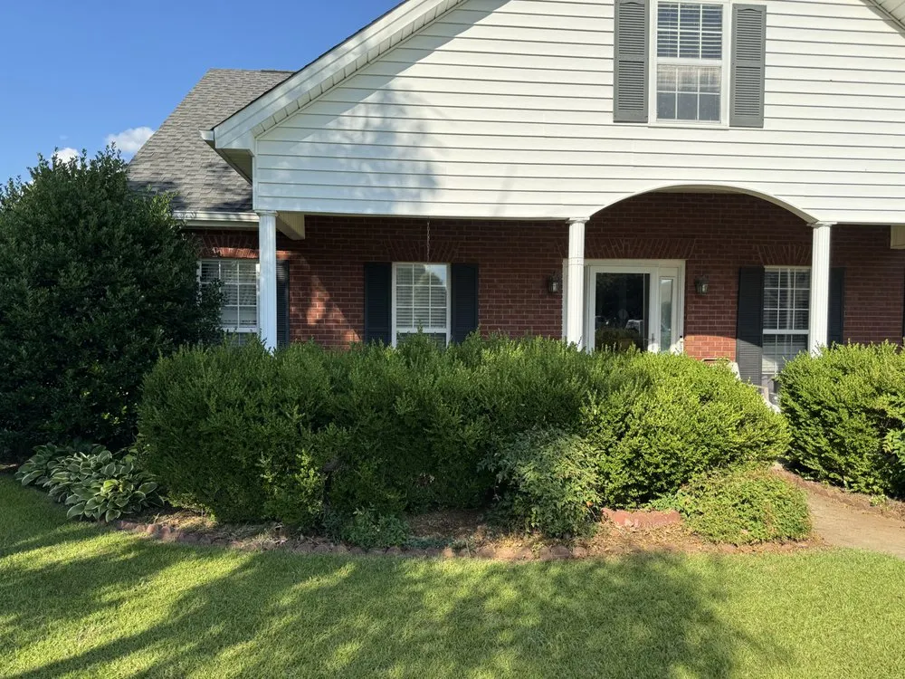 Expert landscape design for homes across Bonaire, GA - Lucas Landscaping