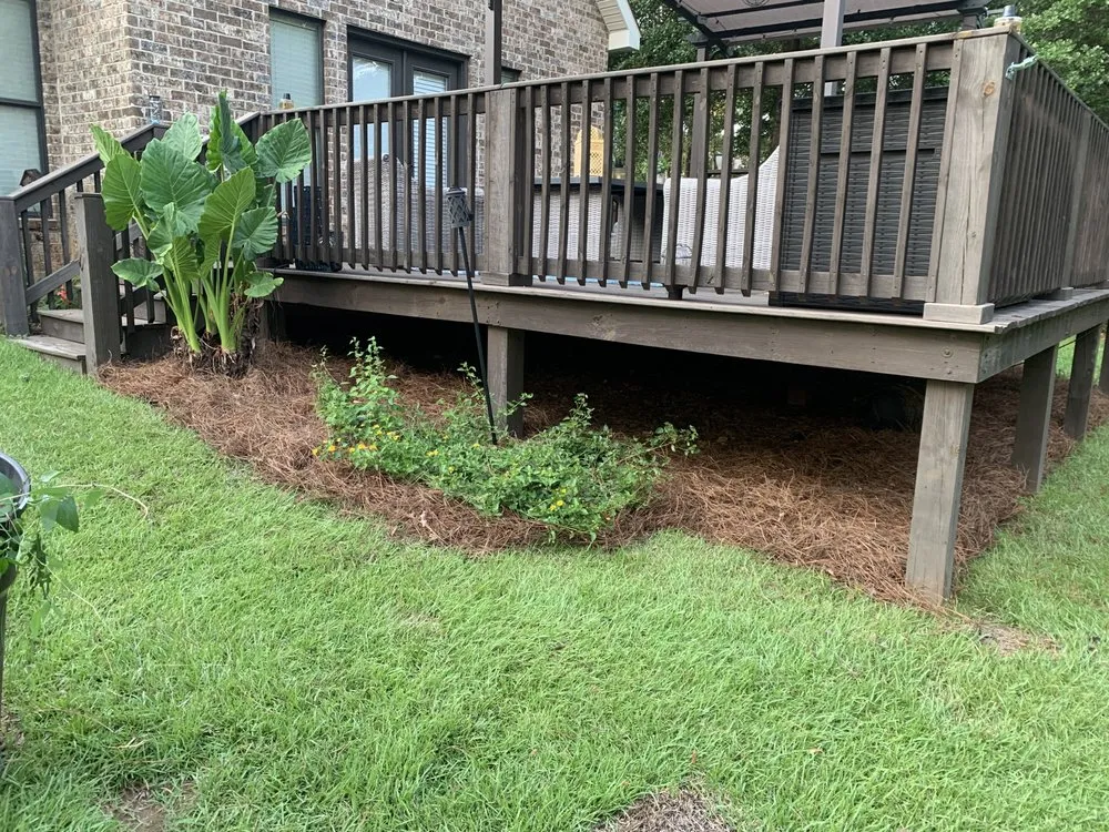 Local landscape installation for year-round maintenance across Bonaire, GA - Lucas Landscaping