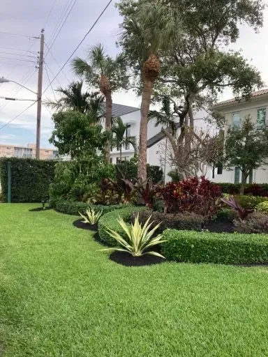 Expert outdoor landscaping near you in West Palm Beach, FL by Lucas landscaping solutions