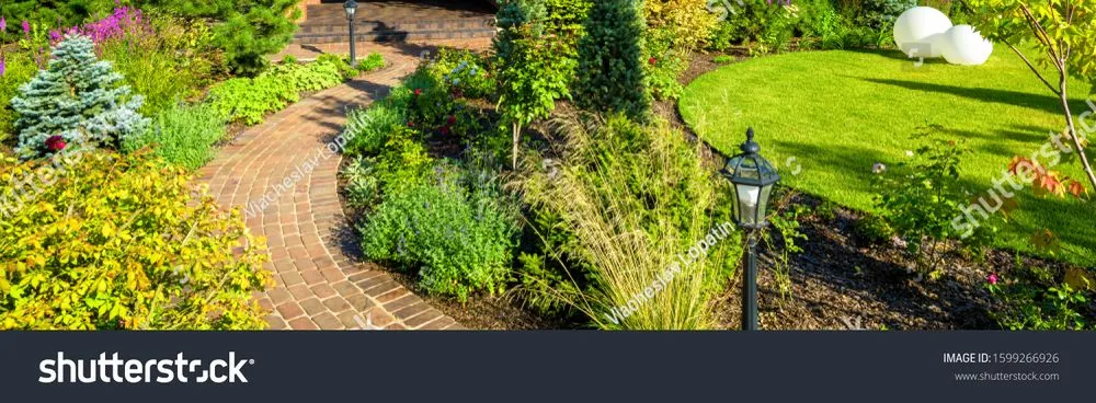 Top-rated yard cleanup service in West Palm Beach, FL by Lucas landscaping solutions