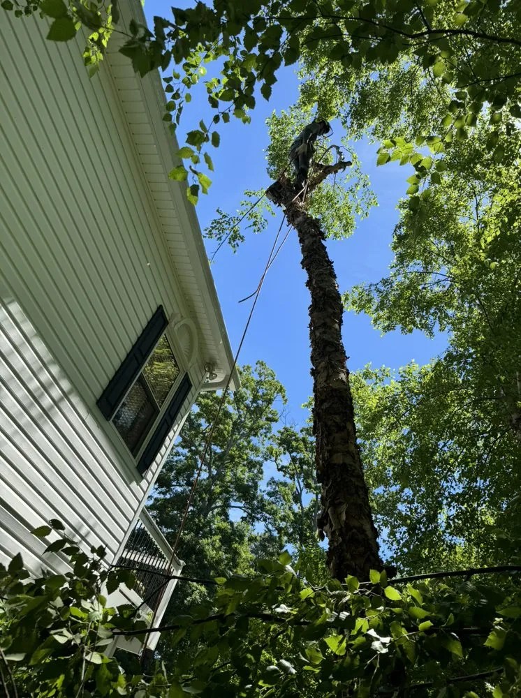 Professional garden landscaping for beautiful yards across Lothian, MD - Lucas Landscaping Tree Servirce