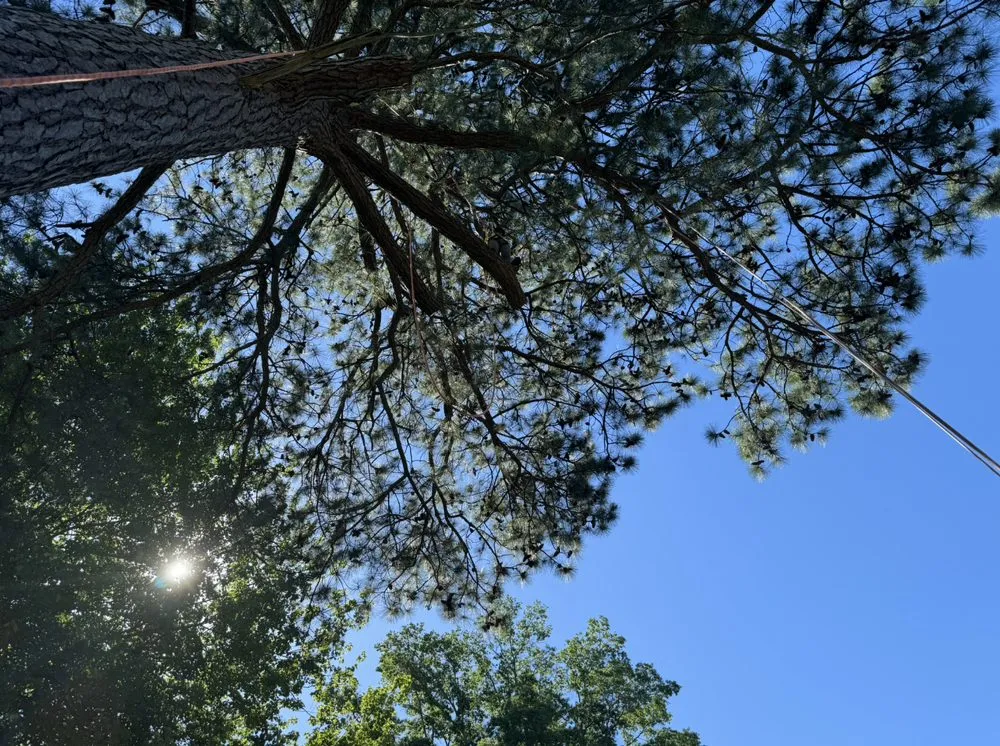 Trusted outdoor landscaping in Lothian, MD by Lucas Landscaping Tree Servirce