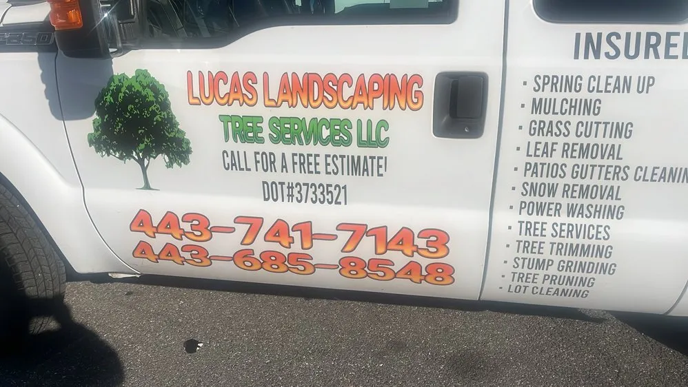 Reliable landscape design experts serving Lothian, MD - Lucas Landscaping Tree Servirce
