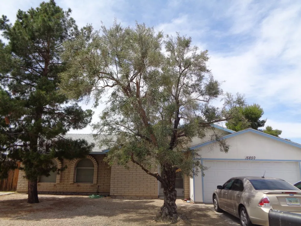 Trusted outdoor landscaping for beautiful yards across Phoenix, AZ - Lucas Lawn and Yard Care