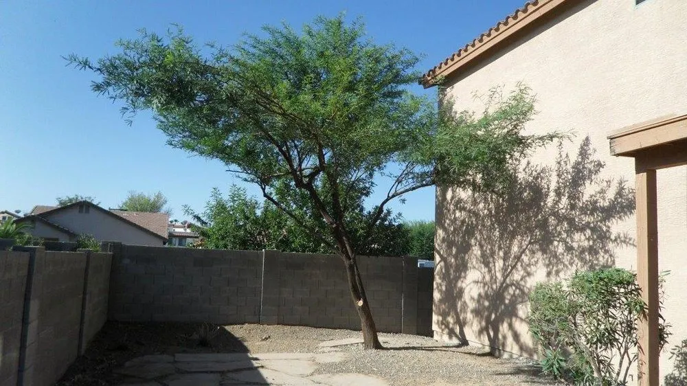 Custom residential landscaping for outdoor upgrades across Phoenix, AZ - Lucas Lawn and Yard Care