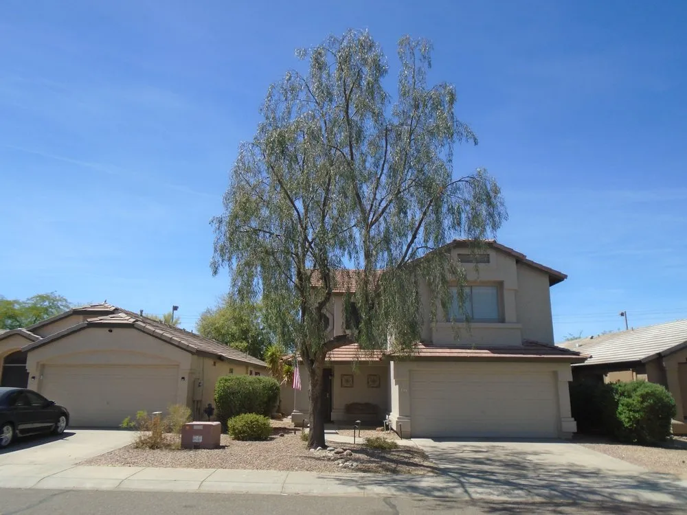 Professional yard cleanup service for homes in Phoenix, AZ by Lucas Lawn and Yard Care