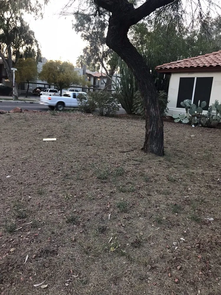 Affordable outdoor landscaping in Phoenix, AZ by Lucas Lawn and Yard Care