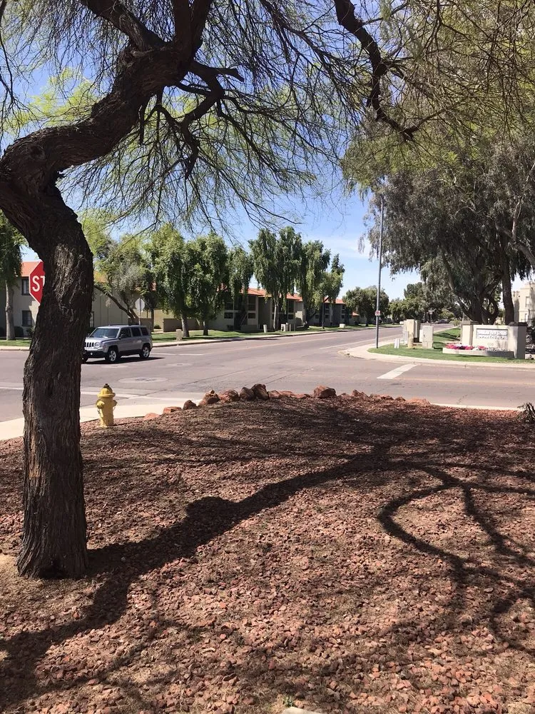 Affordable garden landscaping for residential properties across Phoenix, AZ - Lucas Lawn and Yard Care