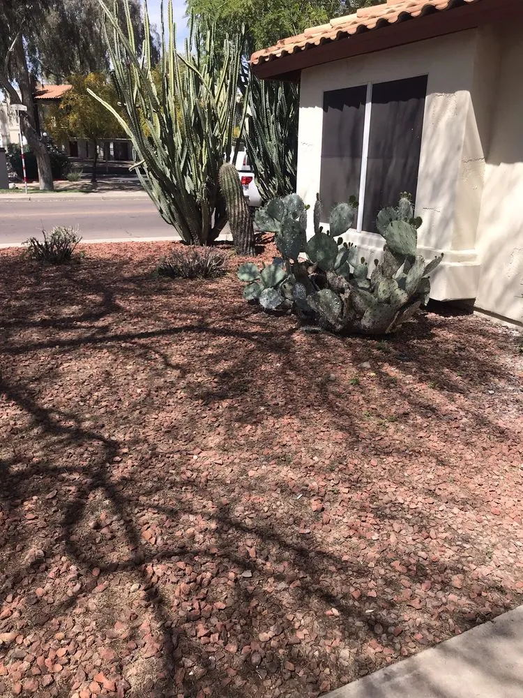 Reliable lawn mowing service in Phoenix, AZ by Lucas Lawn and Yard Care