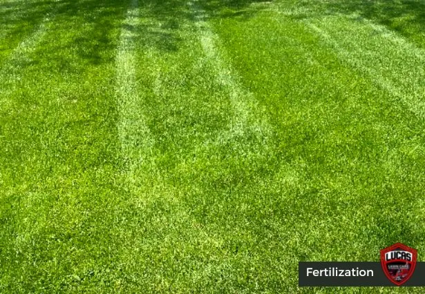Custom yard maintenance for year-round maintenance in Indianapolis, IN by Lucas Lawn Care & Pressure Washing