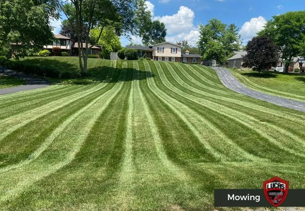 Expert lawn care service for beautiful yards across Indianapolis, IN - Lucas Lawn Care & Pressure Washing