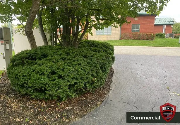 Expert landscaping services in Indianapolis, IN - Lucas Lawn Care & Pressure Washing