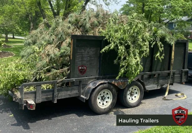 Custom lawn mowing service in Indianapolis, IN by Lucas Lawn Care & Pressure Washing