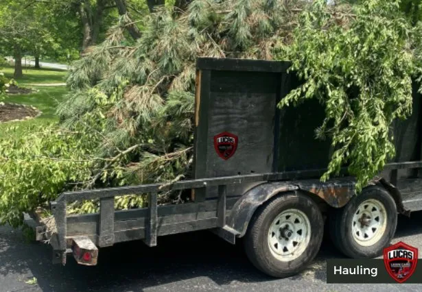 Reliable garden landscaping experts serving Indianapolis, IN - Lucas Lawn Care & Pressure Washing