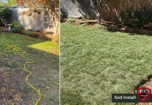 Trusted residential landscaping for residential properties across Indianapolis, IN - Lucas Lawn Care & Pressure Washing