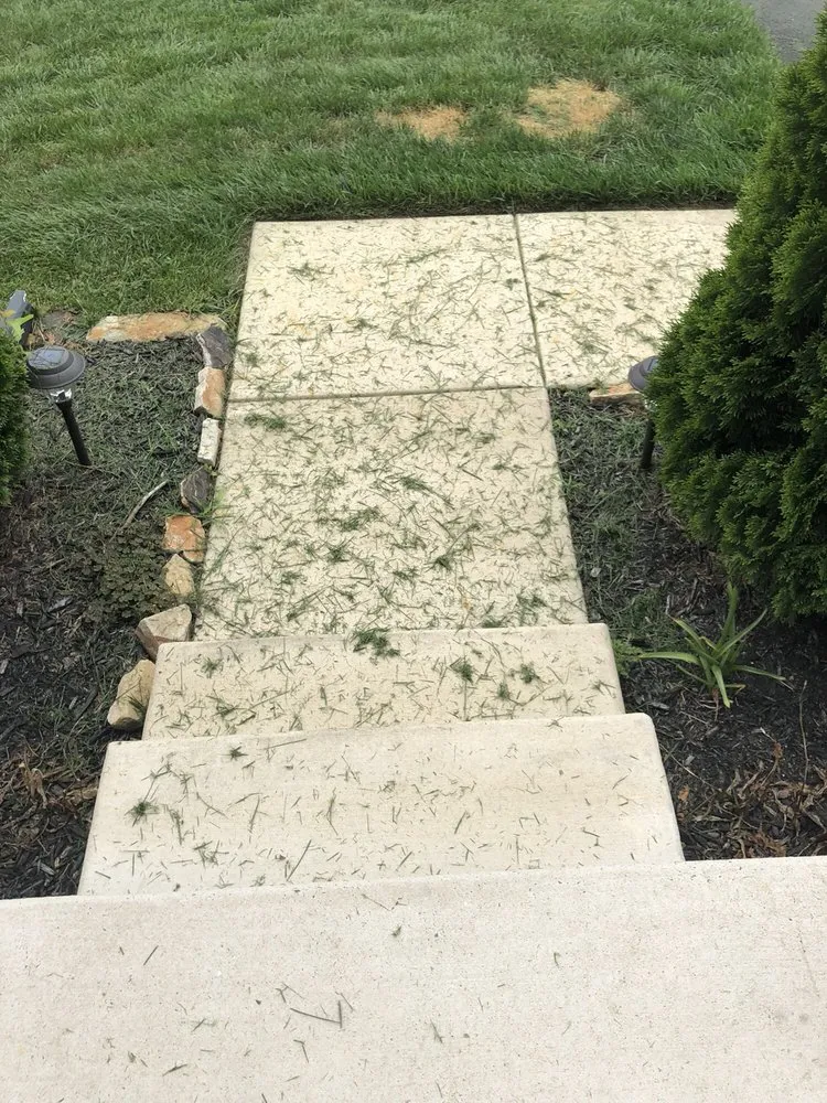 Professional residential landscaping for beautiful yards across Smyrna, DE - Lucas Lawn Care and Landscaping