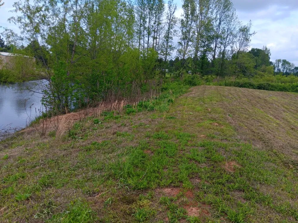 Affordable yard maintenance in Little Rock, AR - Lucas Lawn Care