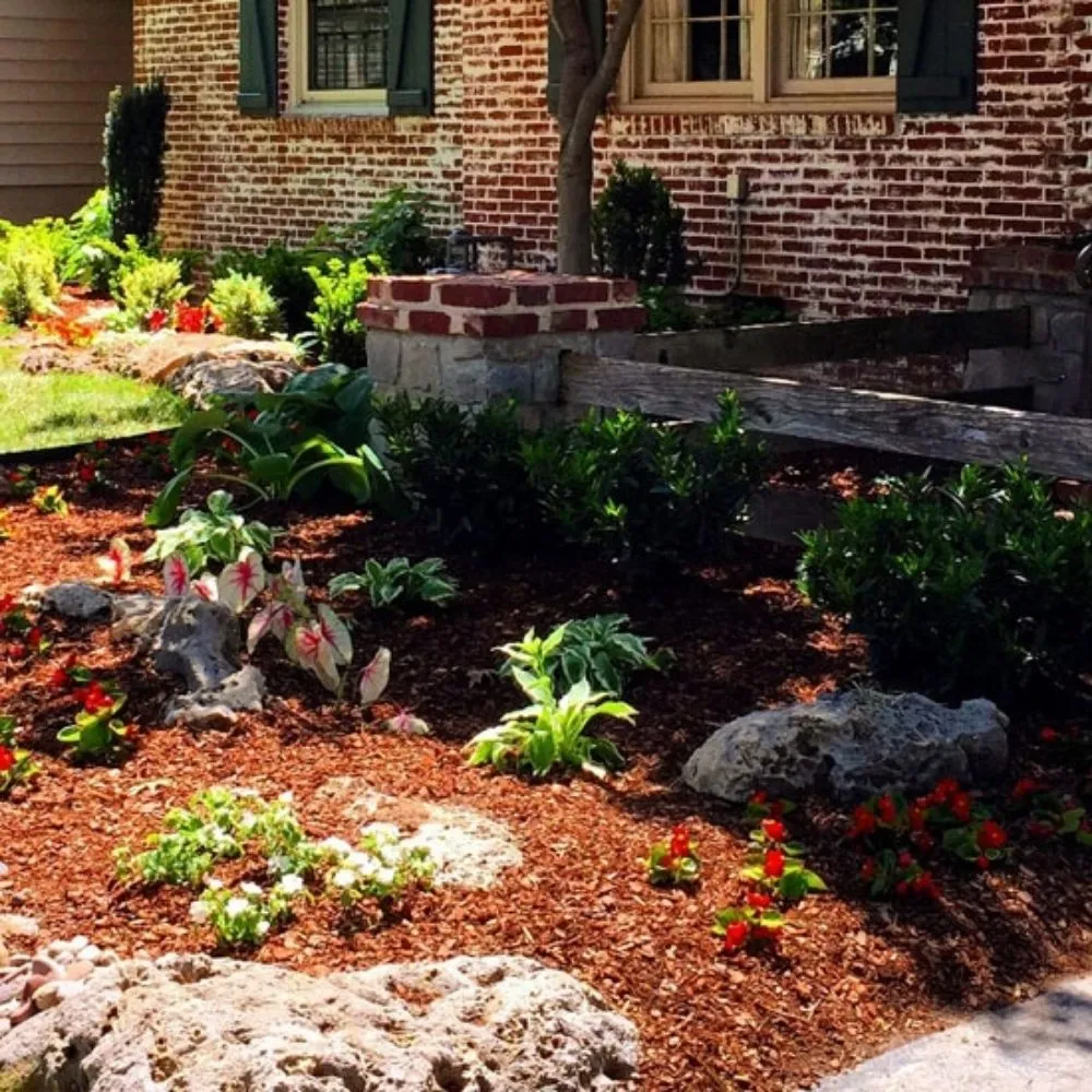 Expert yard cleanup service in Little Rock, AR by Lucas Lawn Care