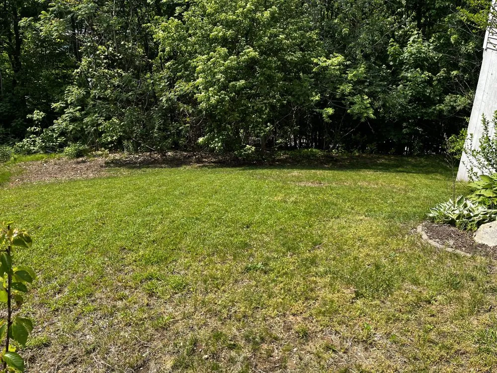 Local yard cleanup service for outdoor upgrades in Putnam, CT by Lucas Lawn Care