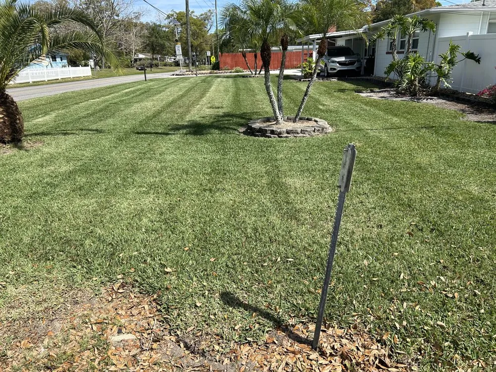 Affordable lawn mowing service for year-round maintenance across St. Augustine, FL - Lucas Lawn