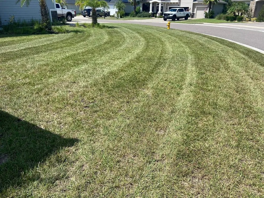 Custom yard cleanup service in St. Augustine, FL by Lucas Lawn
