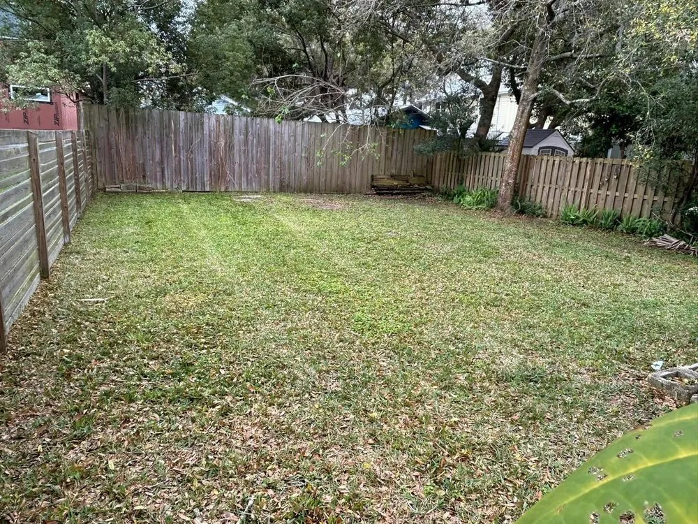 Local outdoor landscaping for year-round maintenance across St. Augustine, FL - Lucas Lawn