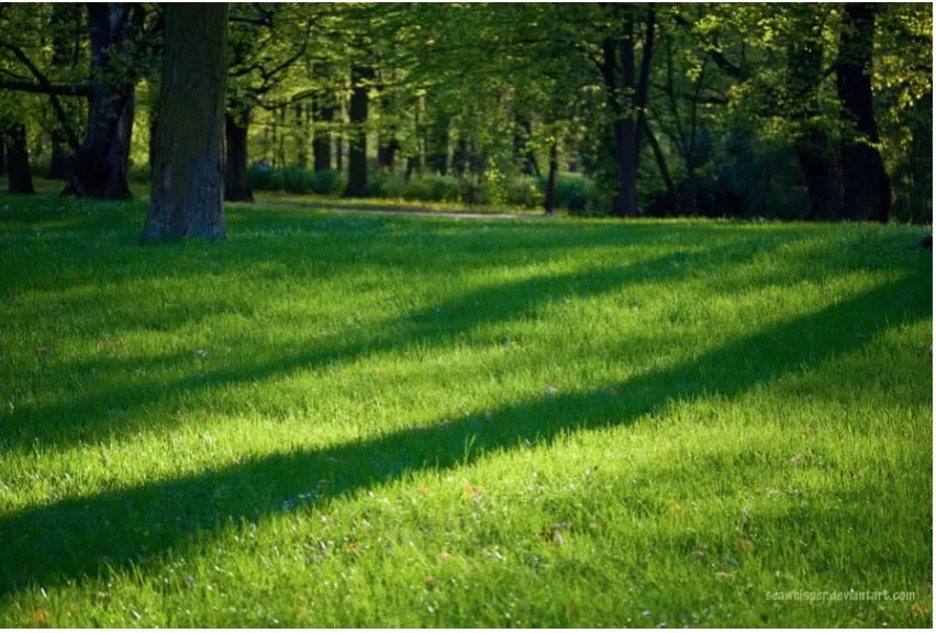 Top-rated landscaping services for residential properties across Medina, OH - Lucas Lawns