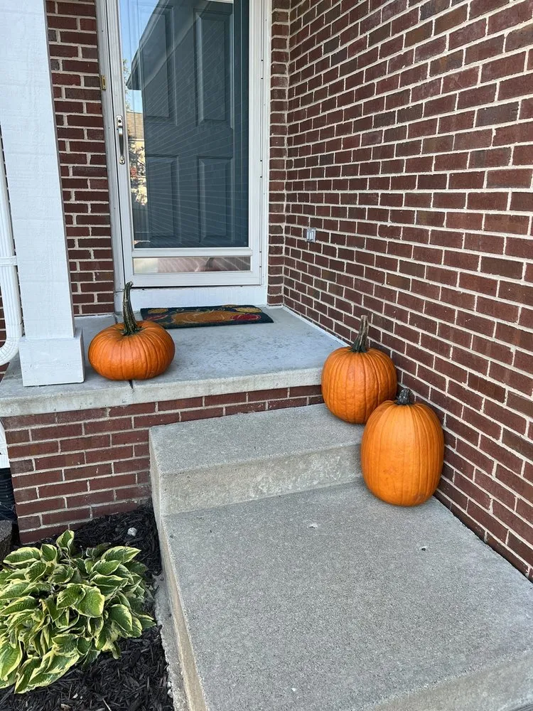 Top-rated landscape design experts serving Superior Township, MI - Lucas Nursery & Landscaping