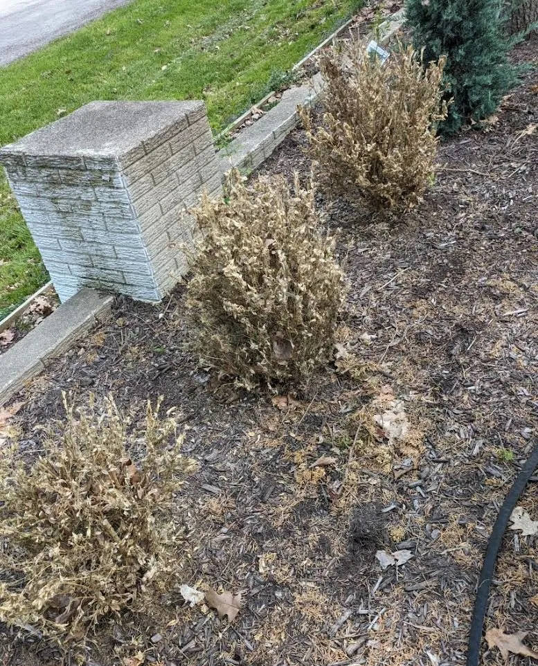 Trusted garden landscaping in Superior Township, MI by Lucas Nursery & Landscaping