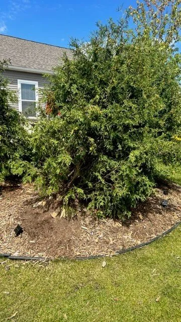 Professional landscape design near you in Superior Township, MI by Lucas Nursery & Landscaping