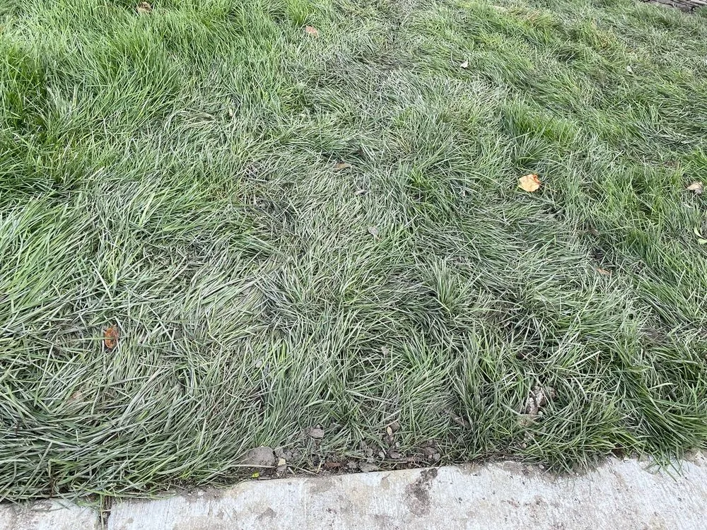 Affordable outdoor landscaping in Superior Township, MI - Lucas Nursery & Landscaping