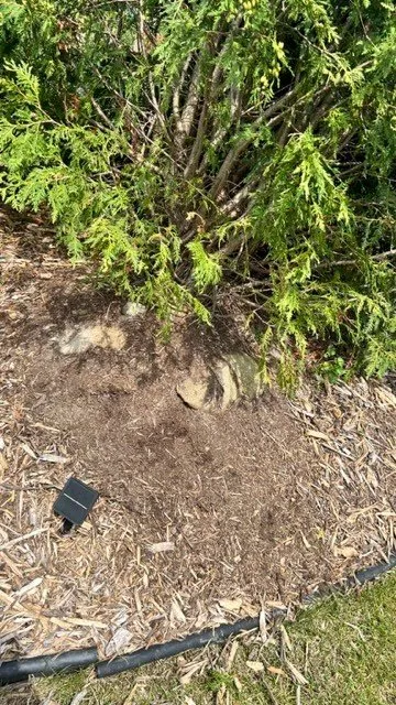 Professional landscape design in Superior Township, MI by Lucas Nursery & Landscaping