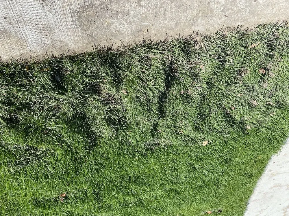 Affordable residential landscaping in Superior Township, MI - Lucas Nursery & Landscaping