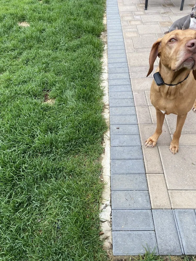 Local lawn mowing service in Superior Township, MI by Lucas Nursery & Landscaping