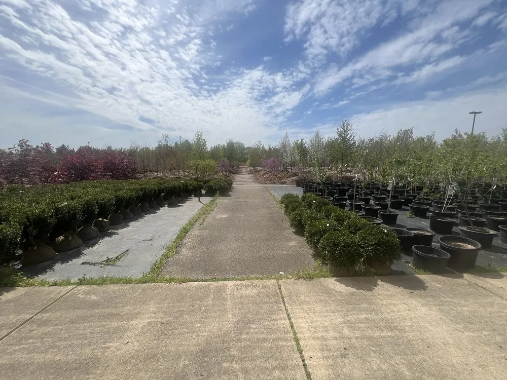 Custom outdoor landscaping experts serving Superior Township, MI - Lucas Nursery & Landscaping