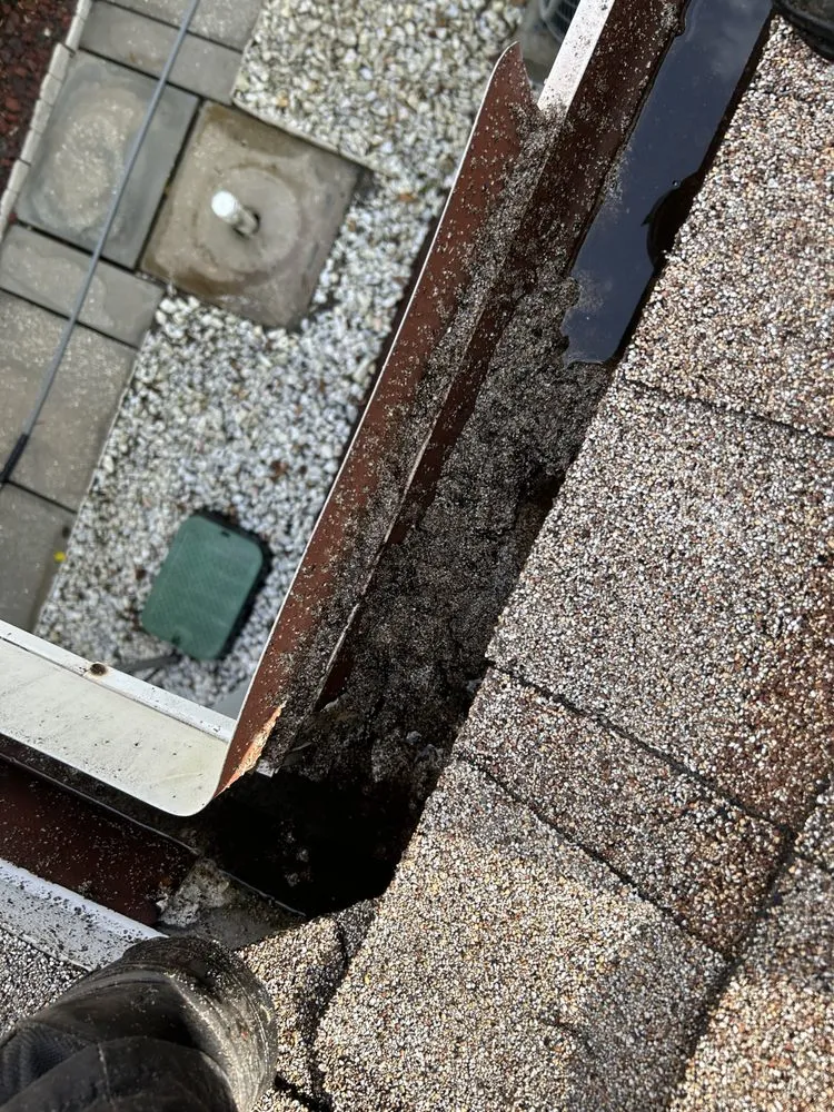 Expert yard cleanup service in Port Orange, FL - Lucas’ Pressure Washing & Lawn Beautification