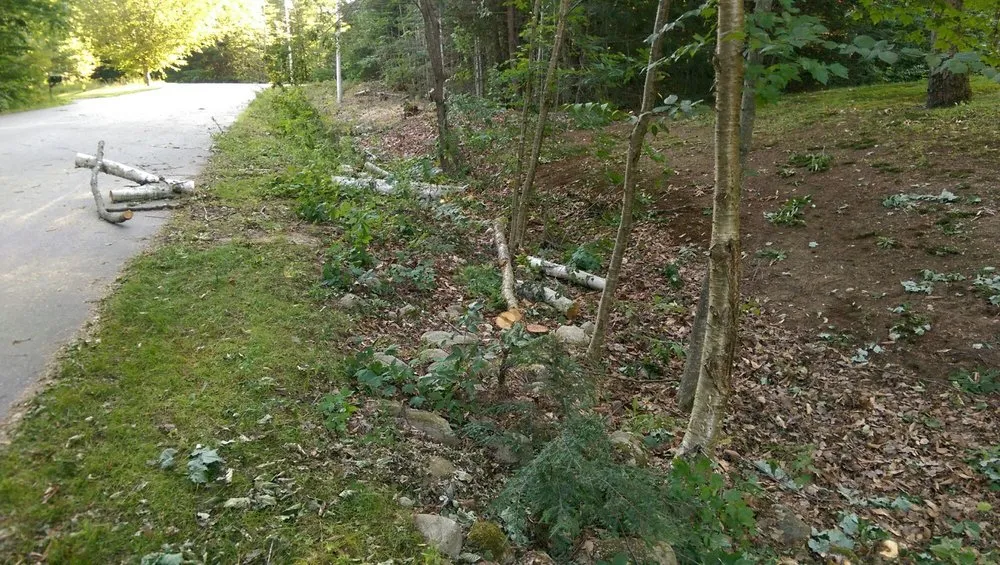 Top-rated residential landscaping experts serving Portland, ME - Lucas Tree Experts