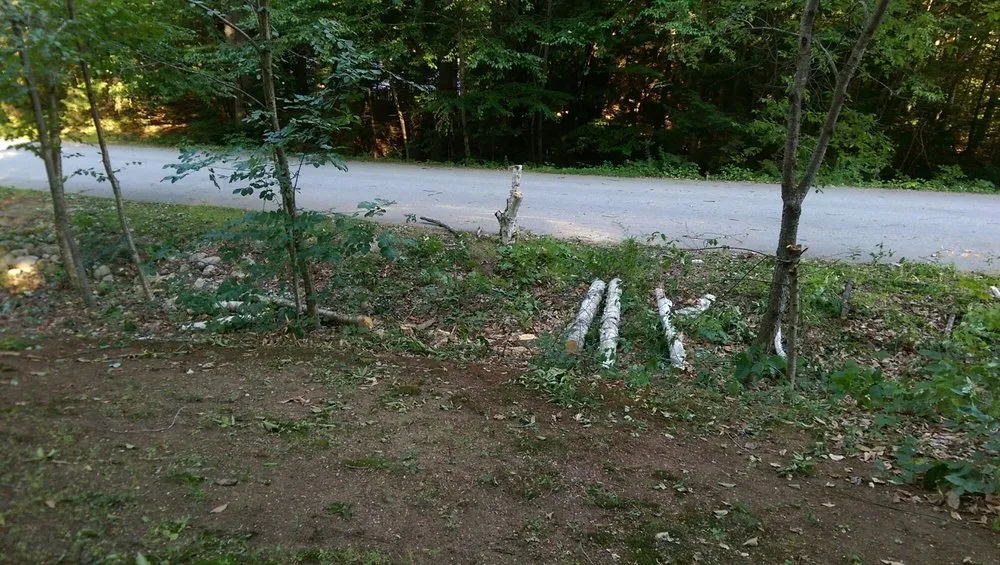 Reliable landscape installation experts serving Portland, ME - Lucas Tree Experts