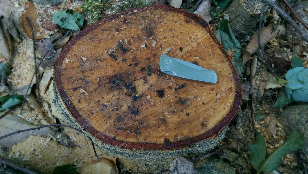 Trusted yard maintenance for homes in Portland, ME by Lucas Tree Experts