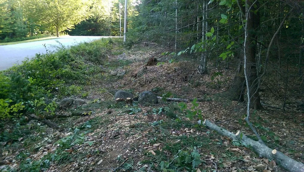 Reliable yard cleanup service for beautiful yards in Portland, ME by Lucas Tree Experts