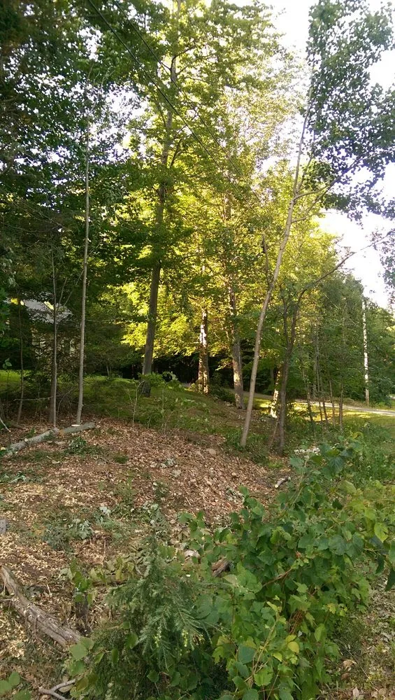 Affordable lawn mowing service in Portland, ME - Lucas Tree Experts