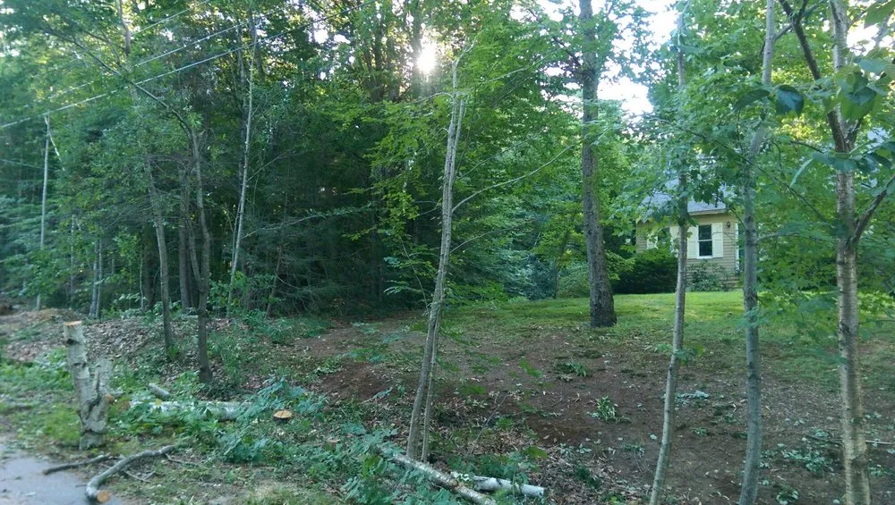 Local residential landscaping in Portland, ME by Lucas Tree Experts