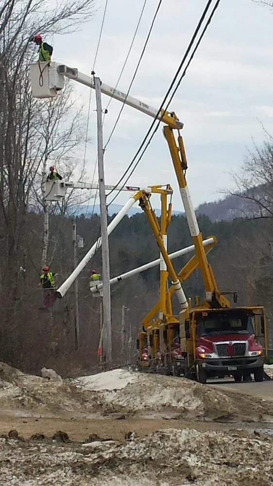 Professional landscape installation experts serving Portland, ME - Lucas Tree Experts