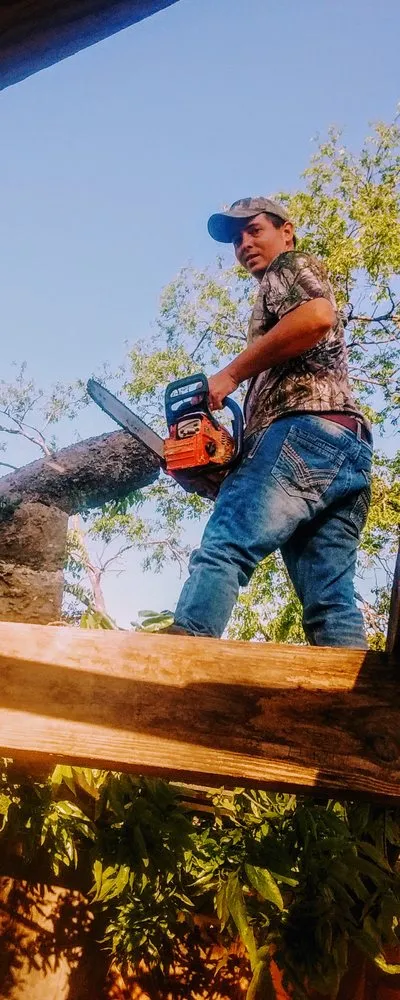 Trusted yard maintenance with custom design in Melissa, TX by Lucas Waller Lawn and Tree Technician